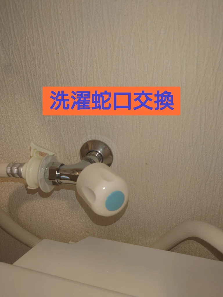 洗濯蛇口交換